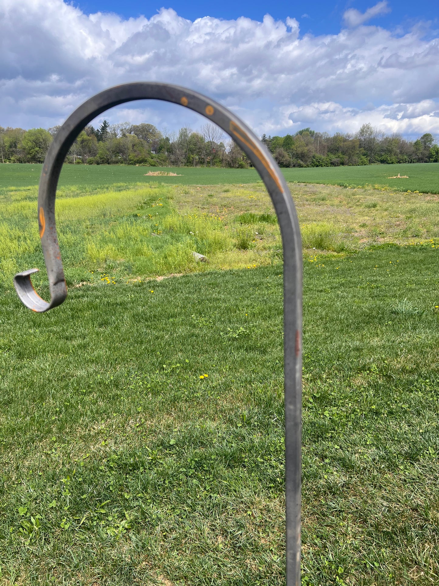 Heavy Duty Shepherd Hook - Natural Patina