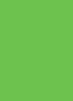 Heavy Duty Shepherd Hook Lime Green